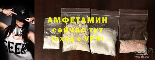 СК Ельня