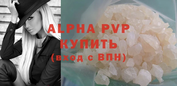 СК Ельня