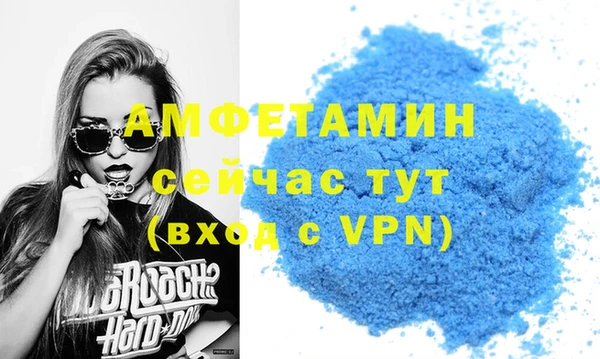 СК Ельня