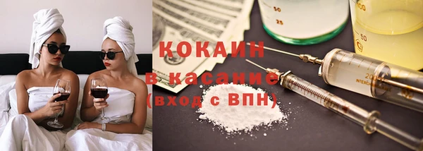СК Ельня