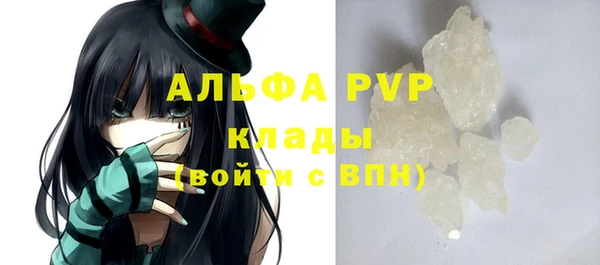 СК Ельня
