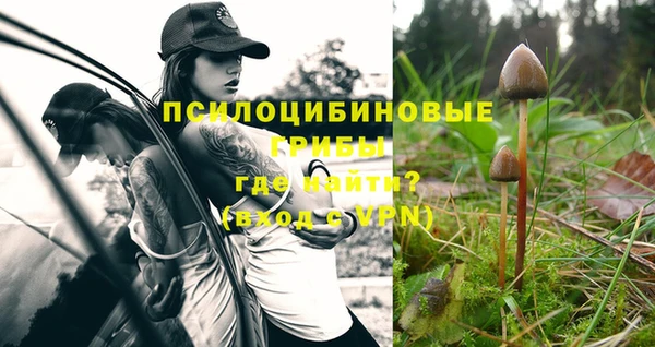 кокаин перу Елабуга