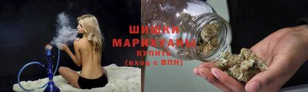 СК Ельня