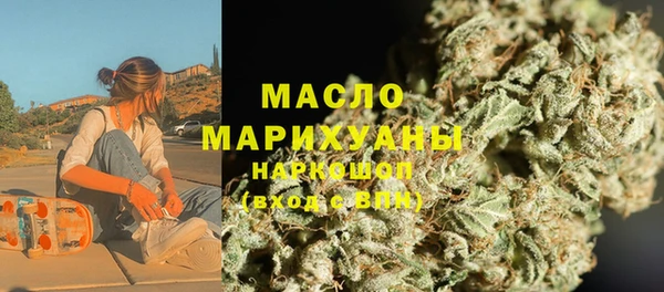 СК Ельня