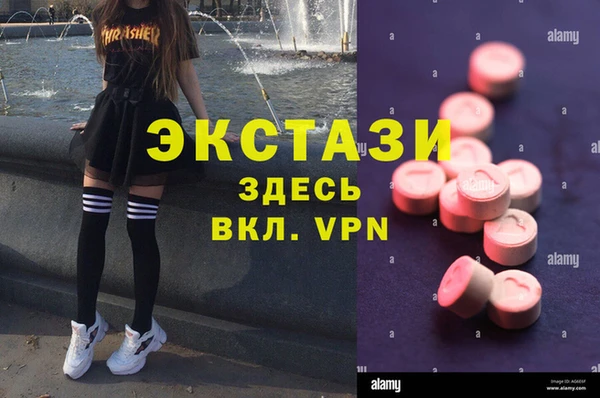 СК Ельня