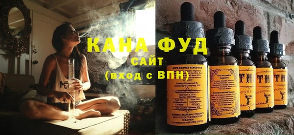 СК Ельня