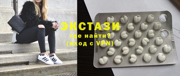 СК Ельня