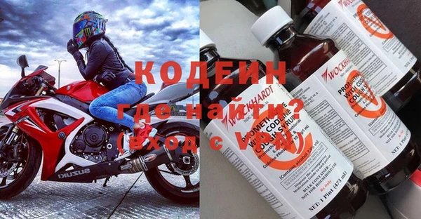 СК Ельня