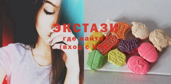СК Ельня